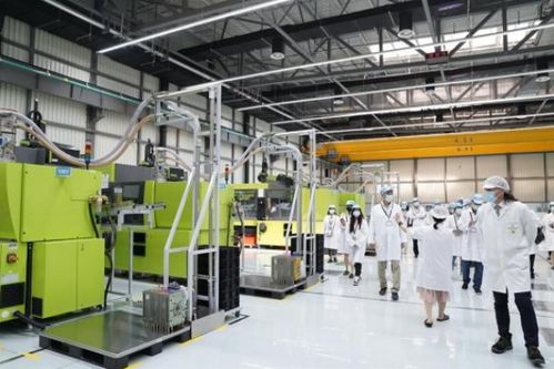 以質量和嚴謹著稱的德企，為何落戶臨港經濟技術開發區？